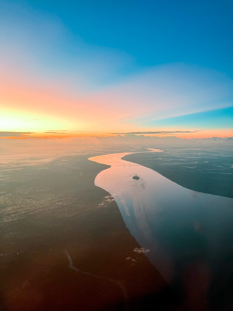 Amazônia Distribuidora de Açai - Brasil Ecofoods
