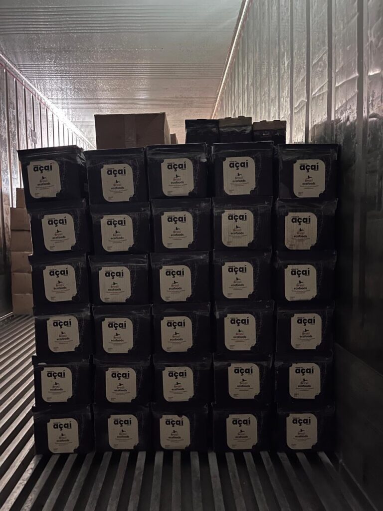 Caixa de Açai Premium - Distribuidora de Açai - Brasil Ecofoods